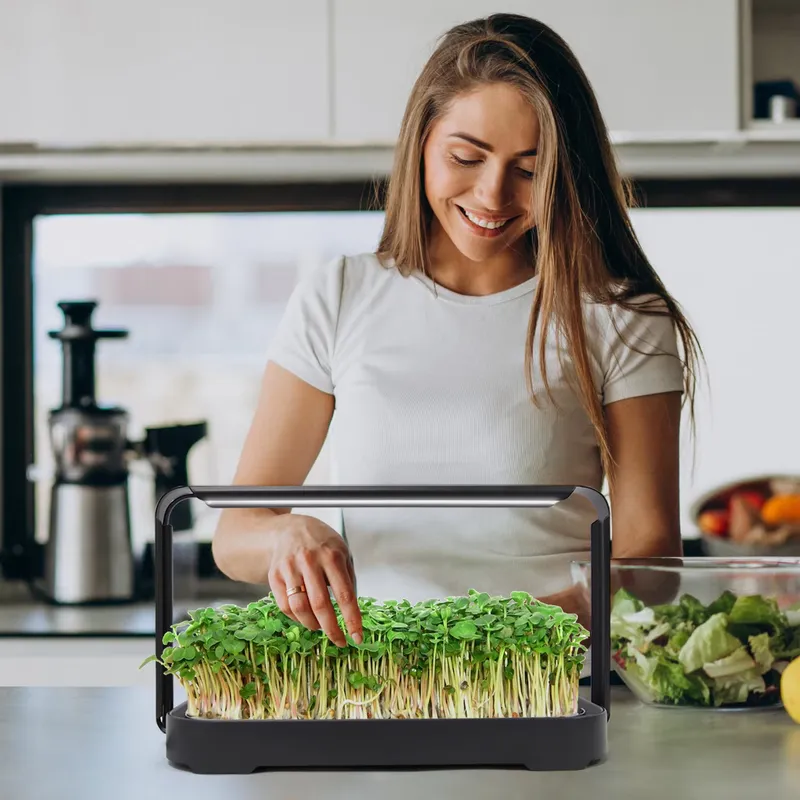 Home Automation System Design - Sistema di Coltivazione di Microgreens per