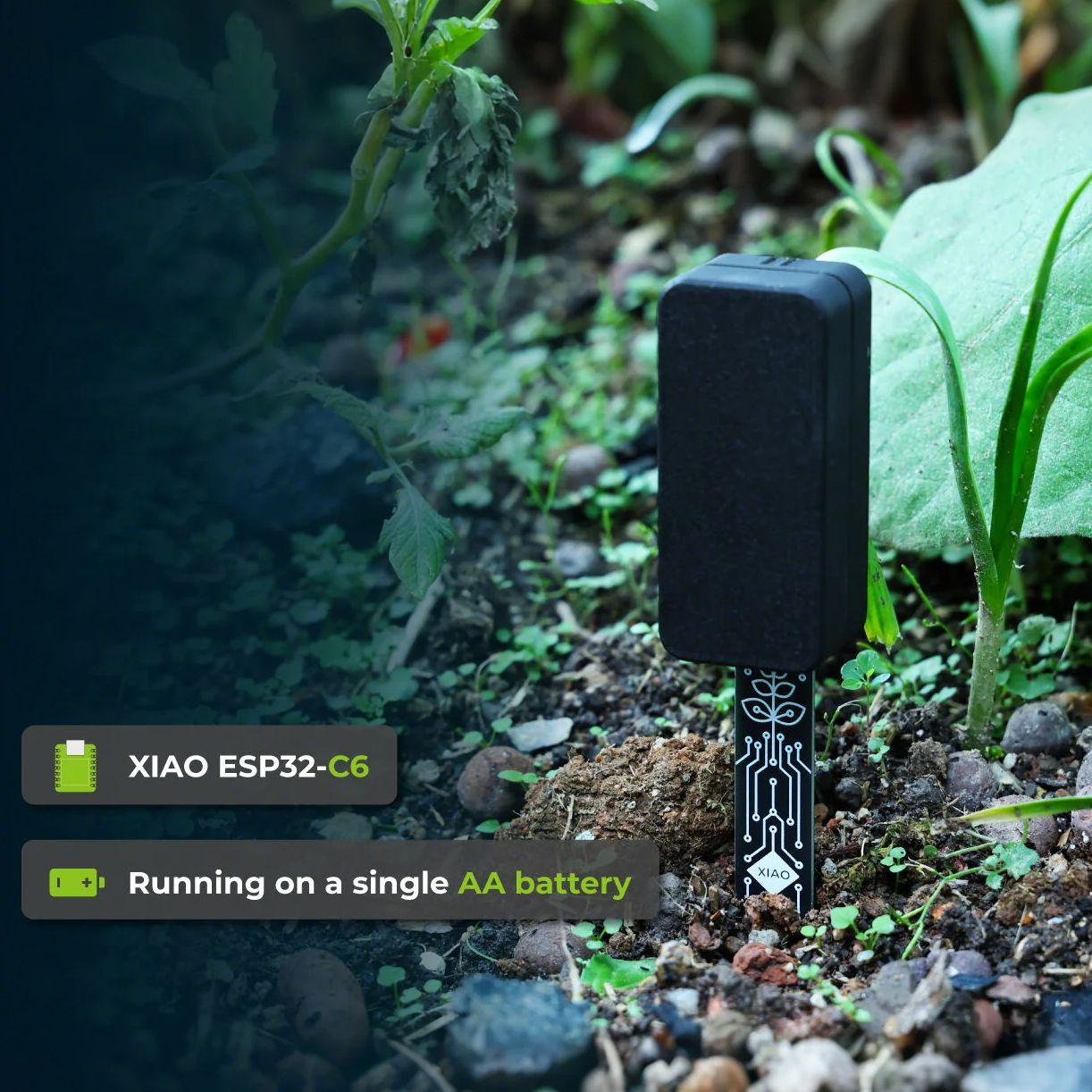 XIAO ESP32 C6 Sensore di umidi - Home Automation Tutorial recensione e prezzo